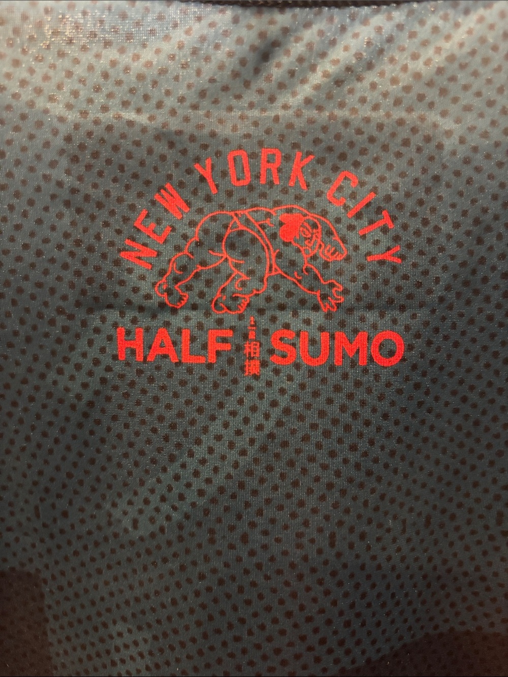 Half Sumo BJJ Rash Guard - Picture 2 of 4